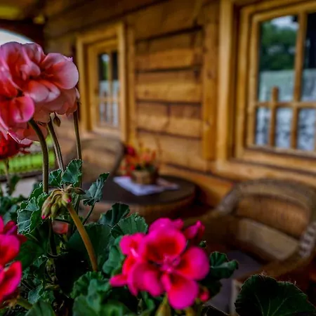 Guest house Casa Chira